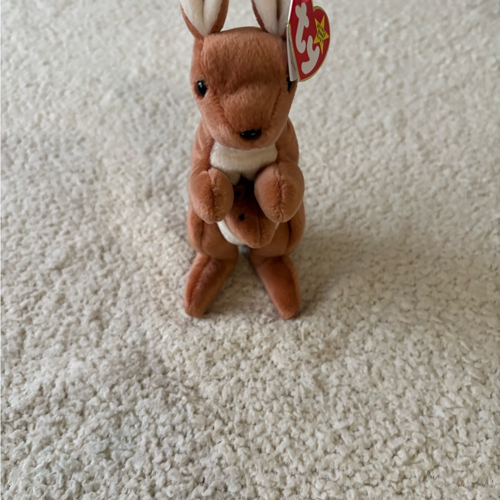 Beanie Babies Amazon collection - Picture 5 of 8